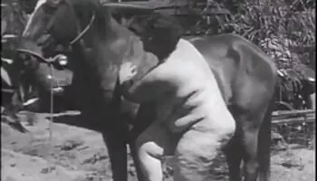 Semental italiano folla duro y rápido